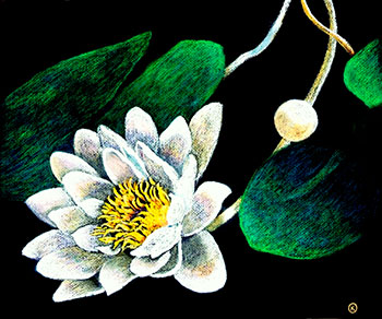 Innocence oil painting